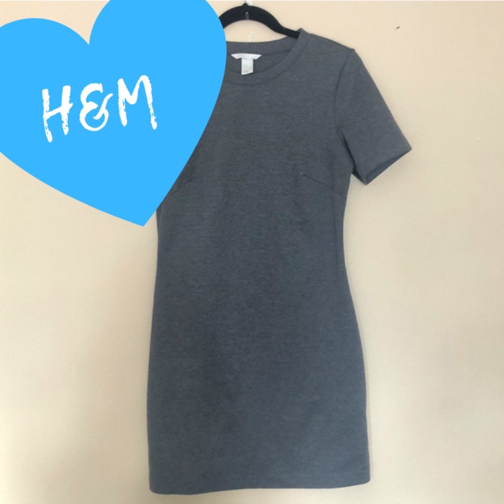 NWOT Gray Fitted H&M Ladies Dress